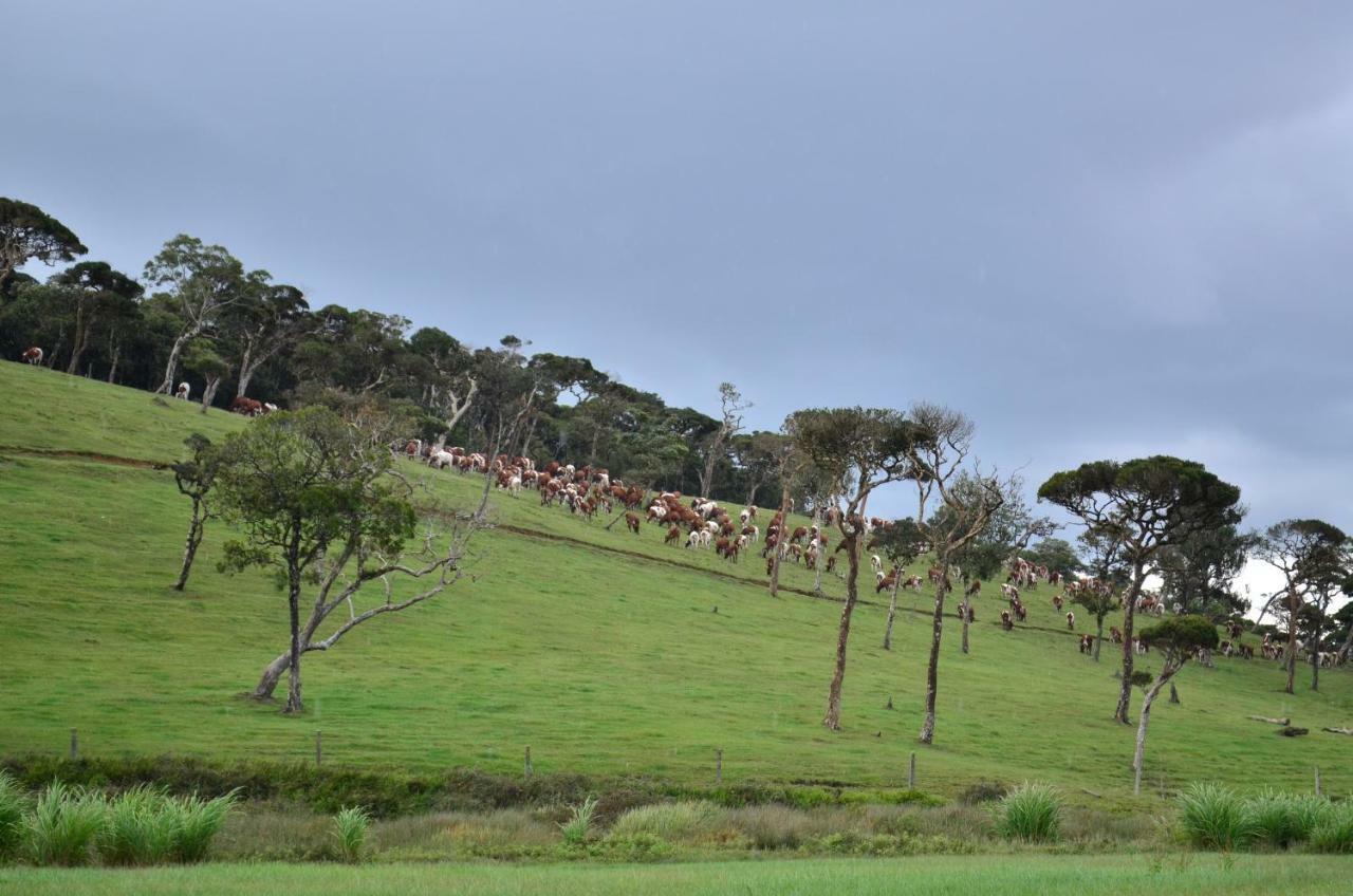 Yensfield Blackpool Nuwara Eliya Exterior photo