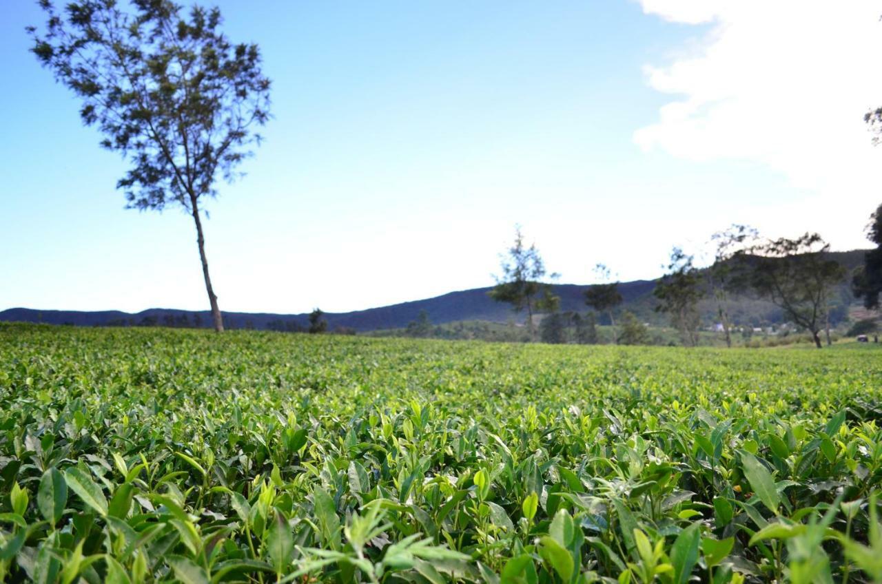 Yensfield Blackpool Nuwara Eliya Exterior photo